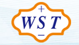 WST 连接器品牌 LOGO